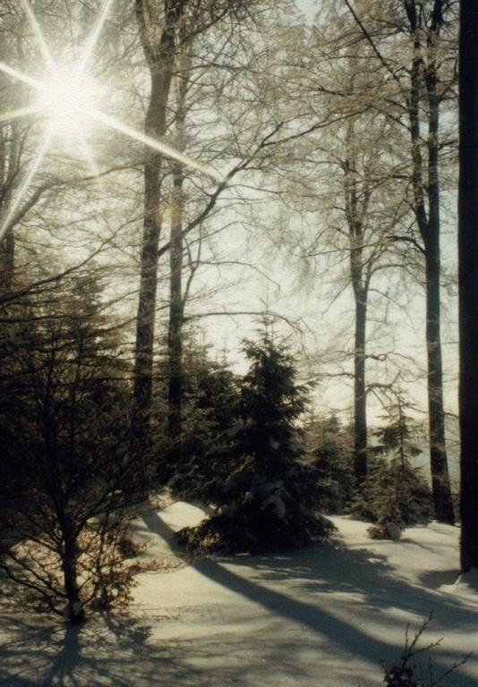 Hotel Restaurant Schmidter Bauernstube ニデッケン 部屋 写真